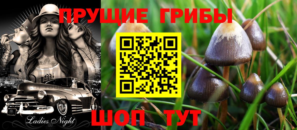 Псилоцибиновые грибы MAGIC MUSHROOMS  Псилоцибиновые грибы Cubensis  Белореченск  Вход с VPN 