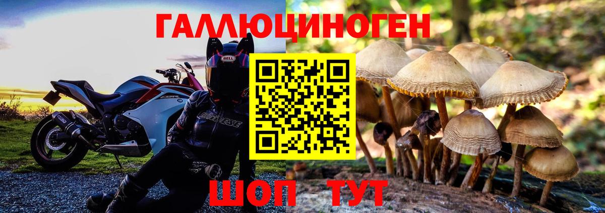 Псилоцибиновые грибы мухоморы Белореченск